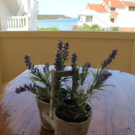 Apartmán Kampor Damira Rab Town