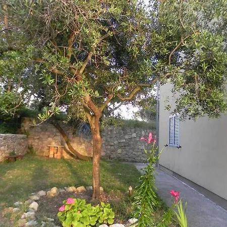 Kampor Damira Appartement *