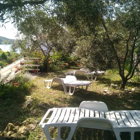 Kampor Damira Apartman *