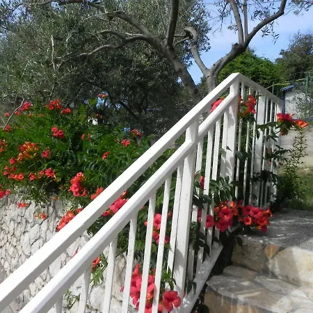 Apartament Kampor Damira