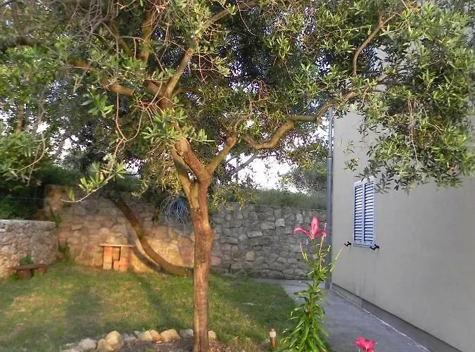 Kampor Damira Apartament *